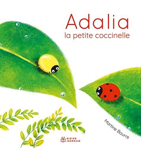 Adalia, la petite coccinelle