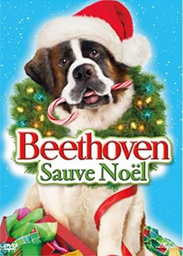 Beethoven 7 : Beethoven  sauve noel