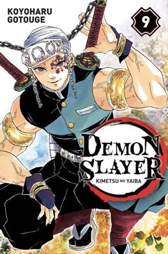 Demon slayer T.09 : Demon slayer