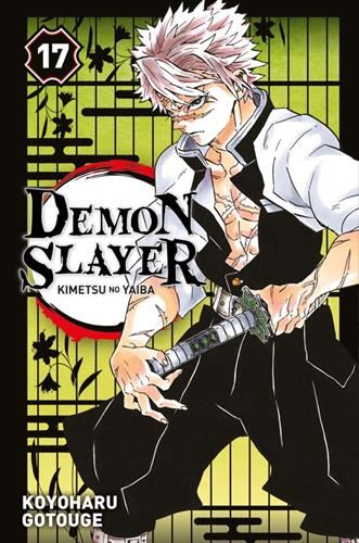 Demon slayer T.17 : Demon slayer