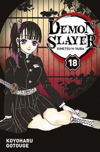 Demon slayer T.18 : Demon slayer