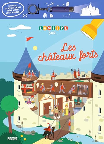 Lumière sur... : Les châteaux forts
