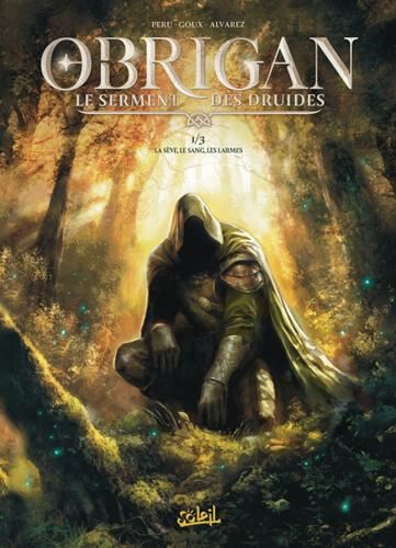 Obrigan, le serment des druides T.01 : La sève, le sang, les larmes