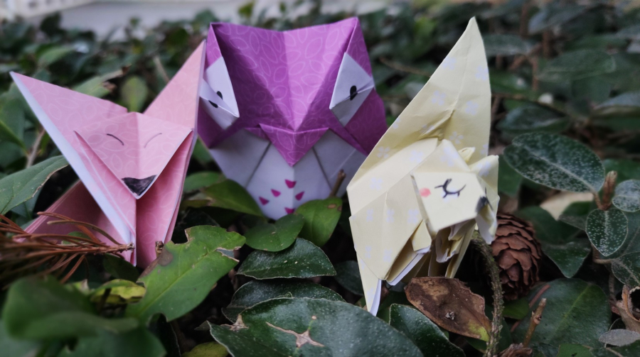 origami animaux de la fort